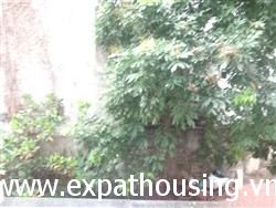 quiet 3 bedrooms apartment for rent near Intercontinental hotel ,Tay Ho,Ha Noi (Vn)