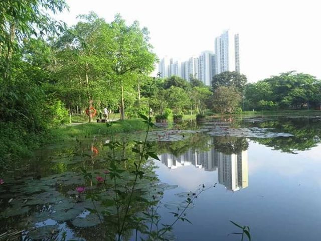 Villa houses for rent in Ecopark Hung Yen