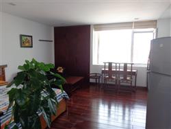 The Modern studio apartment in Truc Bach area for lease (Vn)